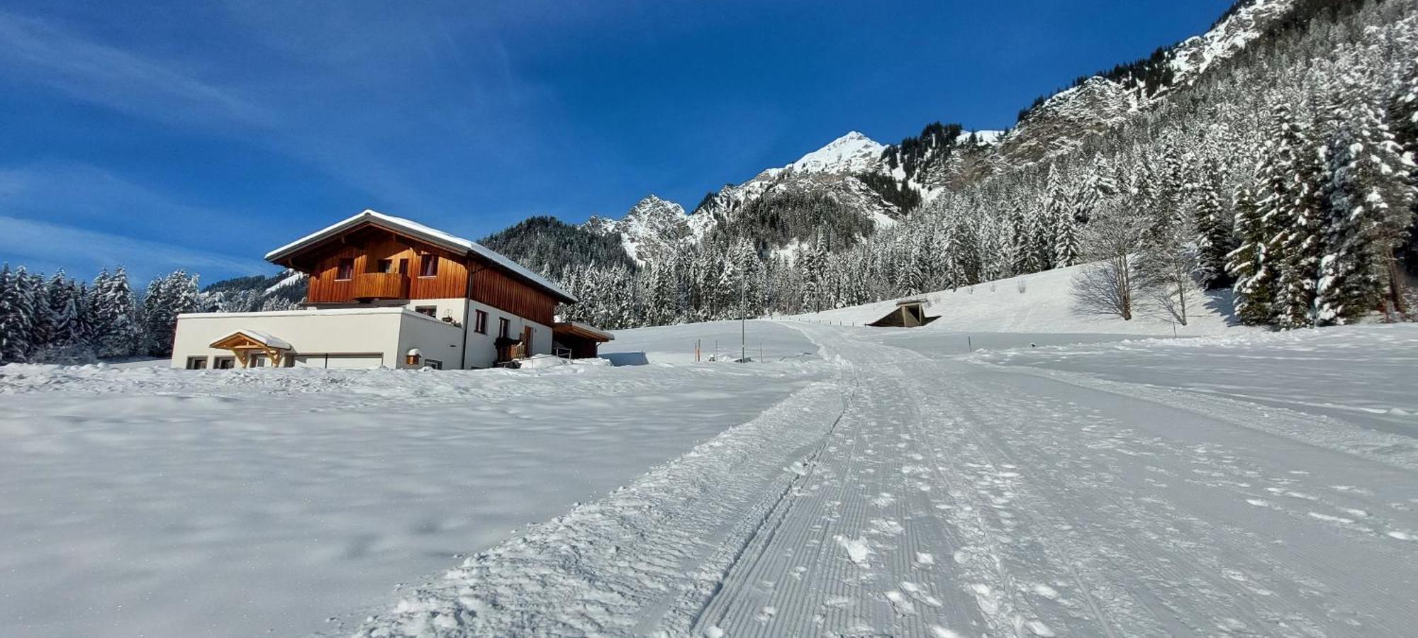 Haus Adrian Daire Wald am Arlberg Dış mekan fotoğraf
