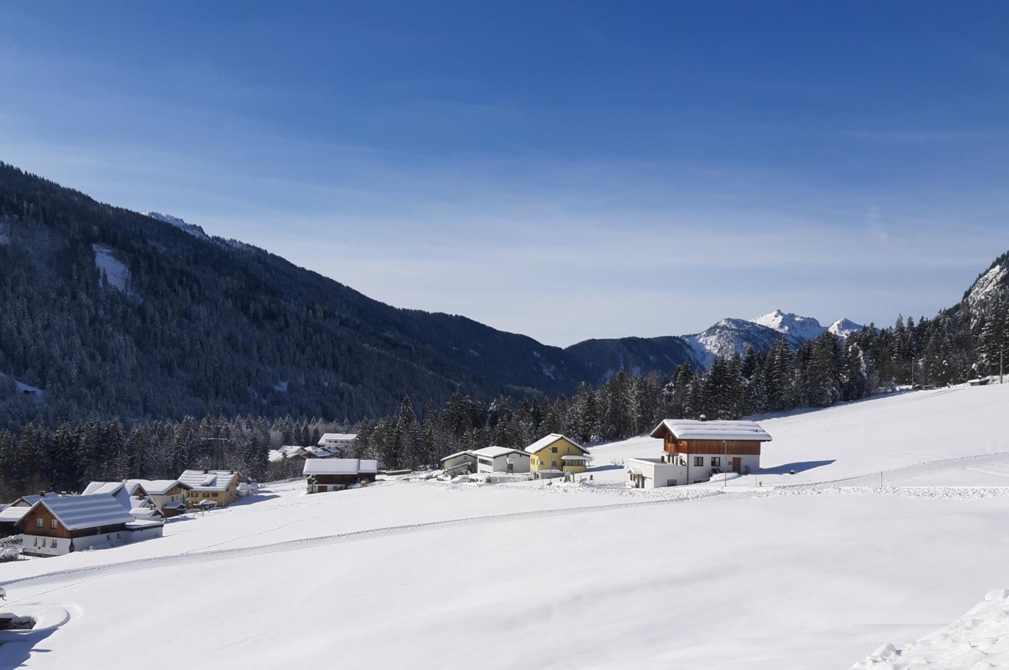 Haus Adrian Daire Wald am Arlberg Dış mekan fotoğraf